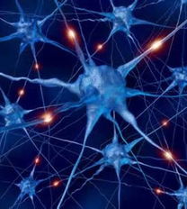 2013最 酷 科技產(chǎn)品 無人機送貨入列