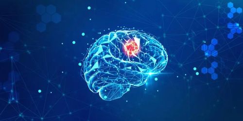 使用深度神經網絡預測大腦如何處理自然聲音